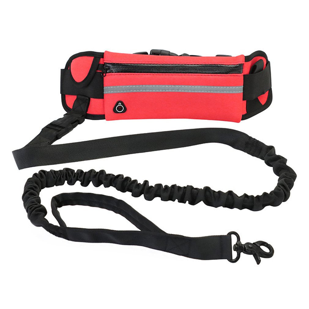 Hands-Free Running Dog Leash