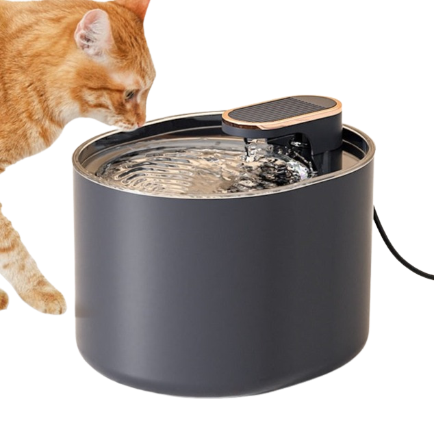 Smart Sensor Water Dispenser